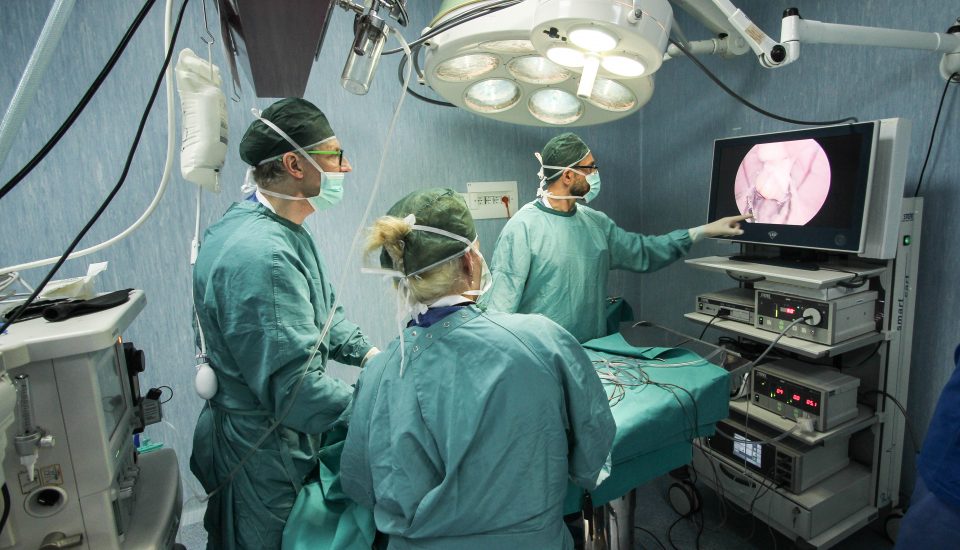 The simulation path for pediatric surgeons offered by the Biotechnology Center of Cardarelli Hospital in Naples.