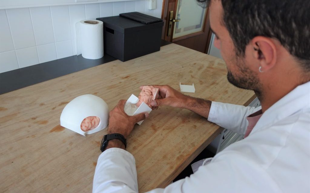 LabIM: medical engineering for simulation