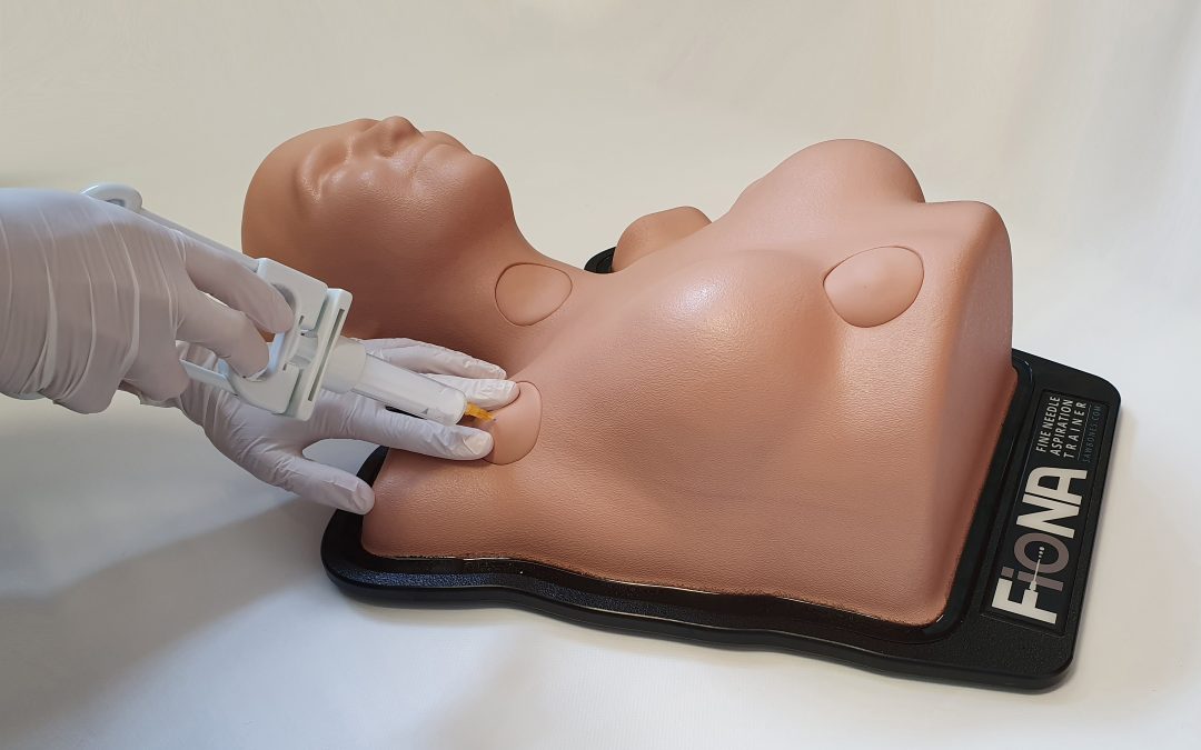 FioNA, the simulator born to be poked