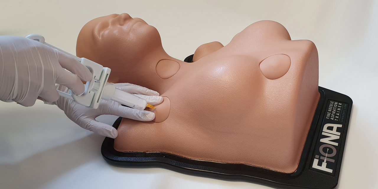 FioNA, the simulator born to be poked