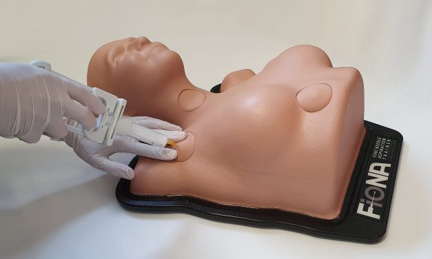 FioNA, the simulator born to be poked