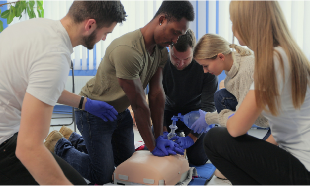 6 Pillars for any simulation leader