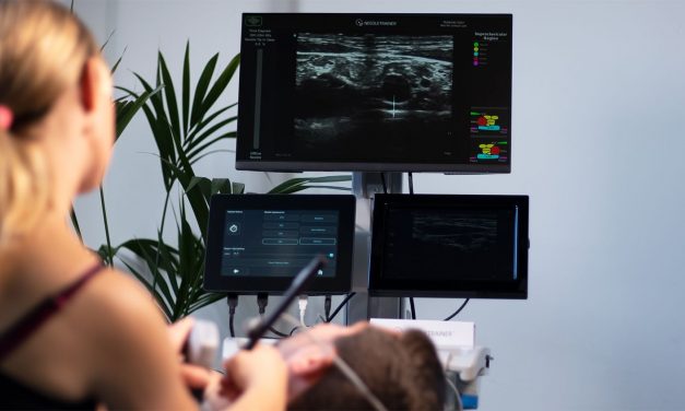 <strong>Needle Trainer by Intelligent Ultrasound: not just a simulator</strong>