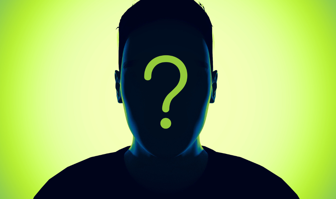 <strong>What is a Simulationist? </strong>